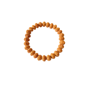 11 Mukhi Rudraksha Bracelet