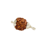 3 Mukhi Rudraksha