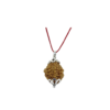 RZ 2 Mukhi/Faced Indian Rudraksha with Silver Pandant | Natural & Certified | Astrological Two Mukhi/Faced Rudraksha | Positive Effect | Unisex Both for Men & Women