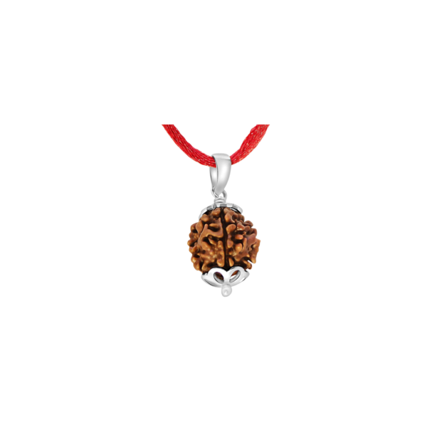4 Mukhi Rudraksha