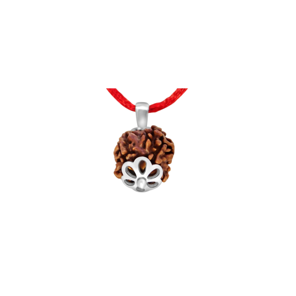 4 Mukhi Rudraksha
