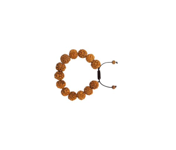 7 Mukhi Rudraksha Bracelet