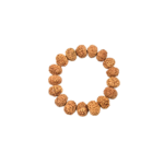 8 Mukhi Rudraksha Bracelet