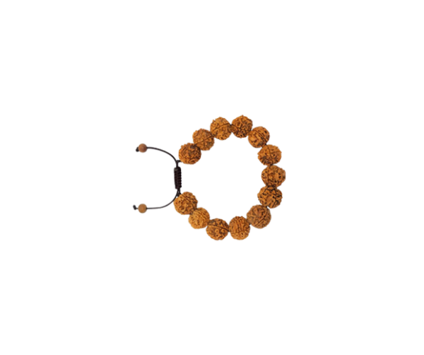 7 Mukhi Rudraksha Bracelet