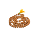 11 Mukhi Rudraksha Mala