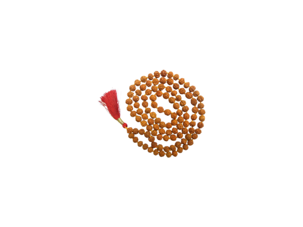 6 Mukhi Rudraksha Mala