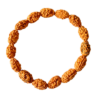 RZ 2 Mukhi Rudraksha Bracelet