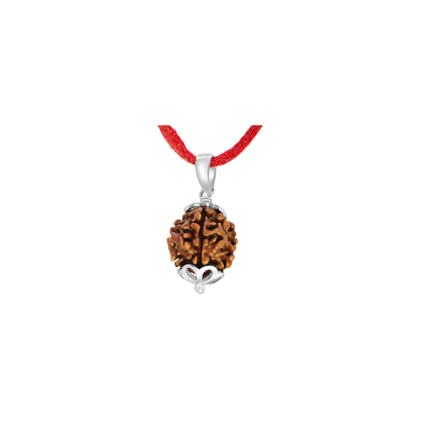 4 Mukhi Rudraksha