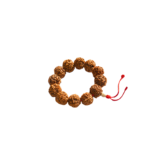 12 Mukhi Rudraksha Bracelet