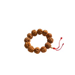 12 Mukhi Rudraksha Bracelet